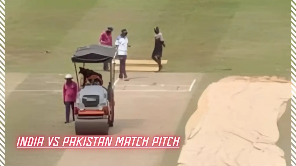 India vs Pakistan Match Pitch